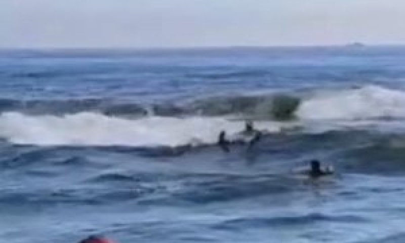 צפו: בחורי ישיבה חולצו לאחר שנסחפו לאוקיינוס, גל אדיר גרר אותם למים