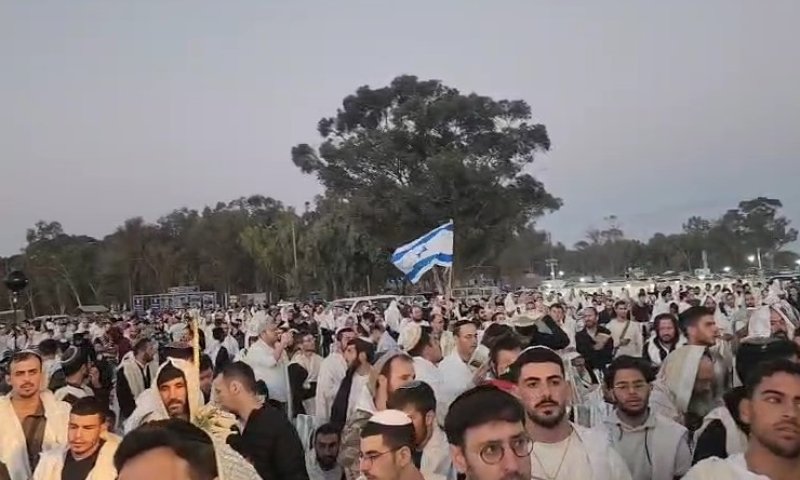 זעם המשפחות על חגיגות בנובה: "נטבחו מאות צעירים"
