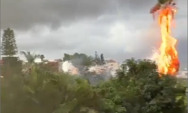 פגיעת ברק: עץ דקל עלה באש וקווי החשמל התפוצצו &bull; צפו