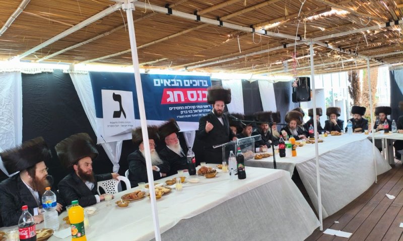 הח"כ המיועד אליקים שטארק: "מתנצל בפני עולם התורה"