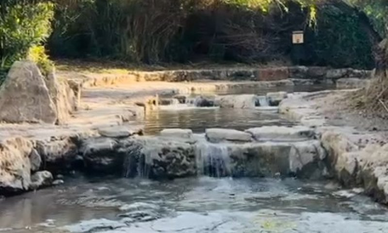 זרימה מרהיבה בנחל עיון: הטבע במלוא הדרו
