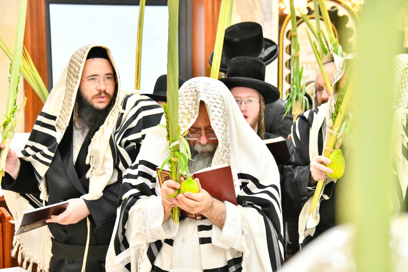 שוקי לרר