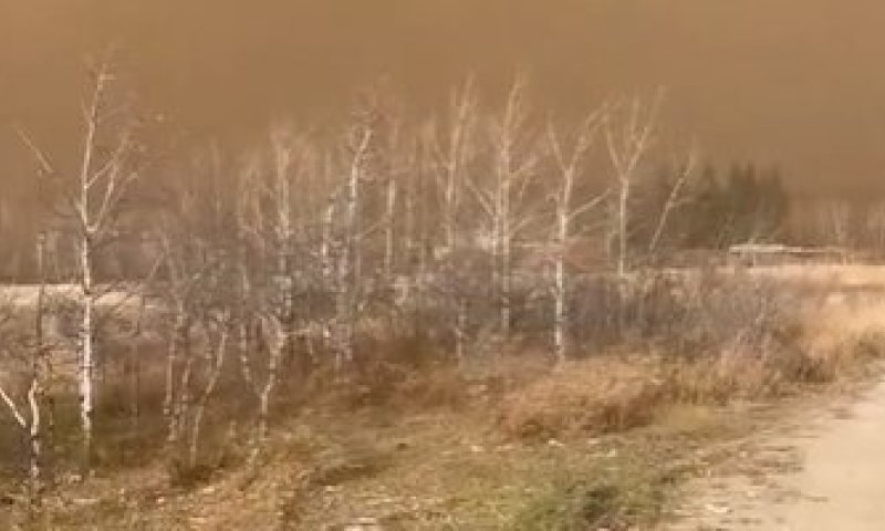 פיצוץ עז ושריפה: דיווחים על הרוגים ונפגעים רבים בקנדה