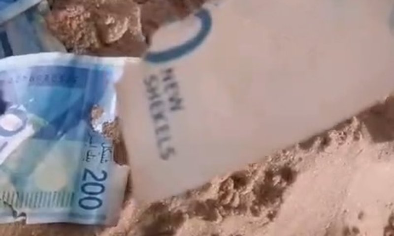 גם החולדות חופרות בעזה: כרסמו שטרות כסף באוהל  