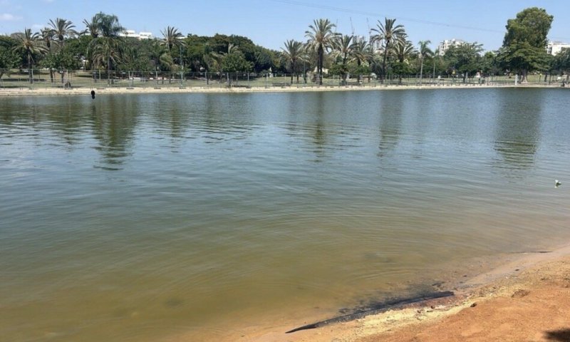 ילד בן שבע טבע למוות באגם בפארק דרום בתל אביב