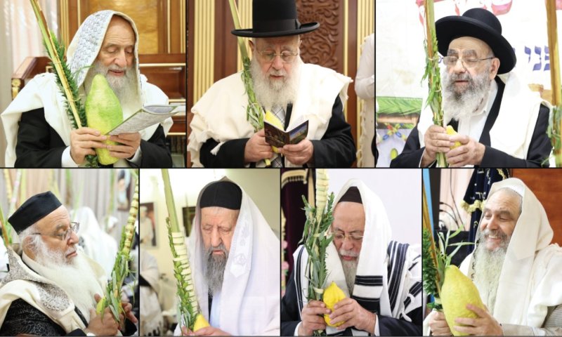 מיפו ועד סנהדריה: הצלם תיעד את הנענועים של גדולי ישראל הספרדים