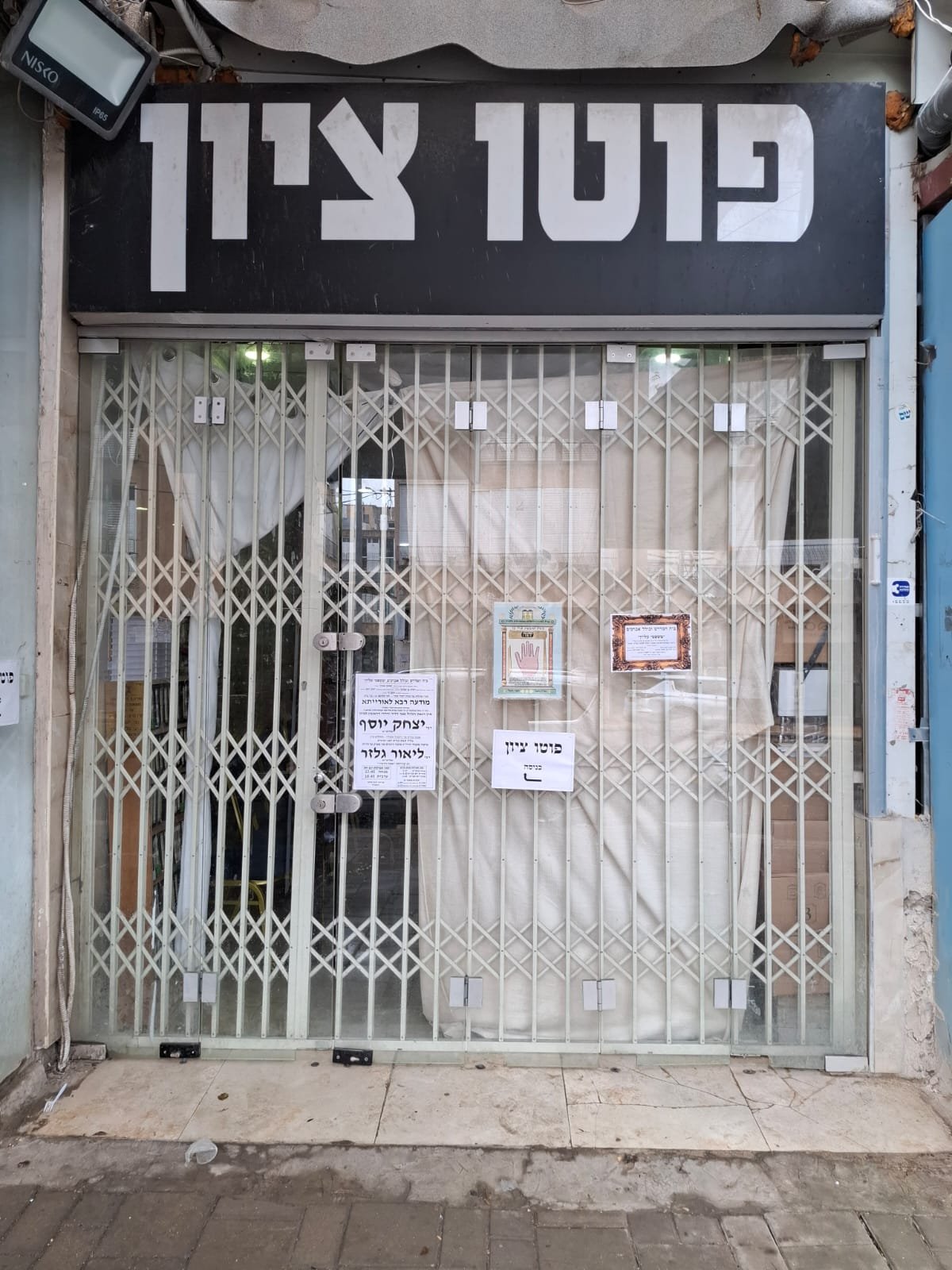 יהודה פרקוביץ