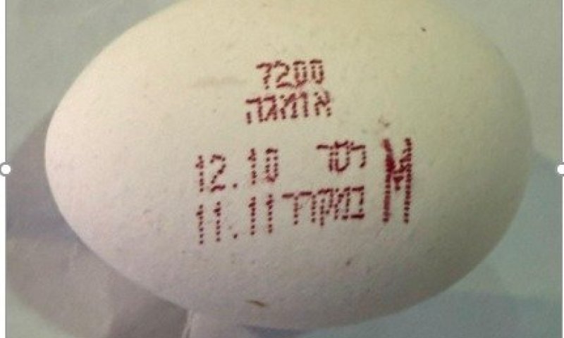 החברה קוראת להחזיר ביצי אומגה 3 - סכנה לציבור