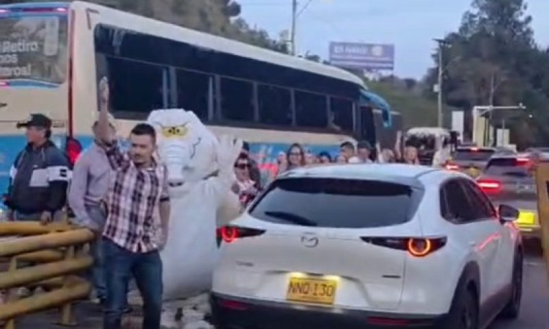 הסנאטור שהגיע עם חדק: האיש שנלחם בשחיתות בתחפושת של פיל