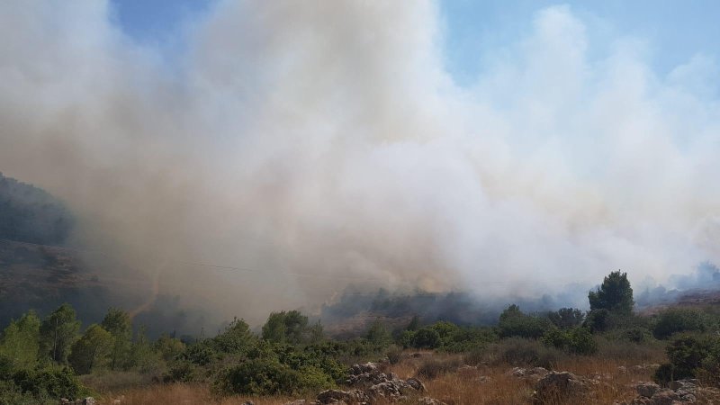 דוברות כיבוי האש