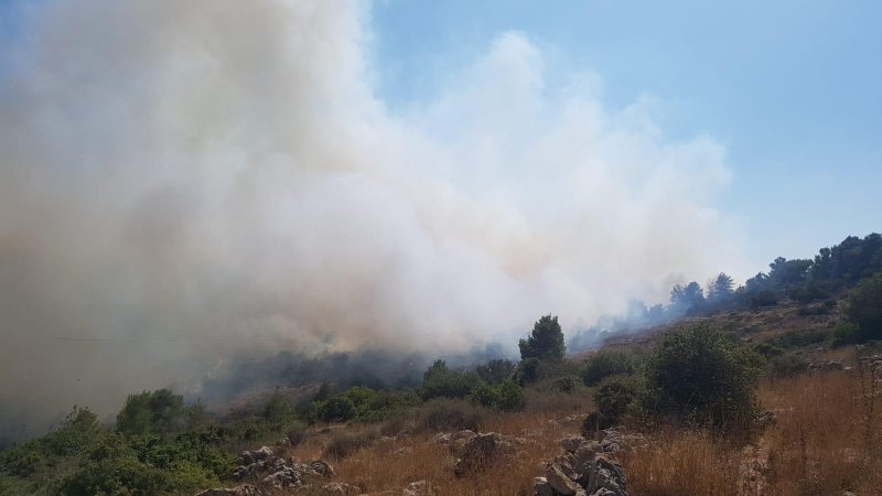 דוברות כיבוי האש