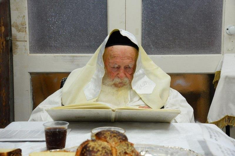 צילום: שוקי לרר