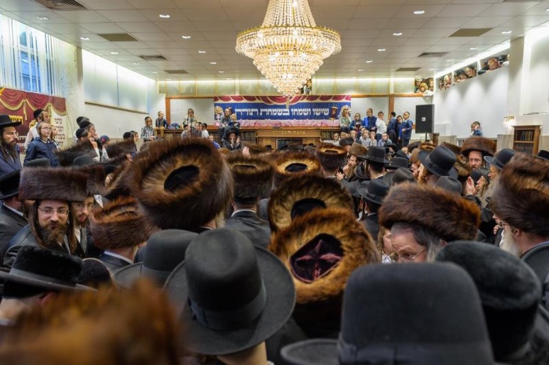 צילום: דודי בראון