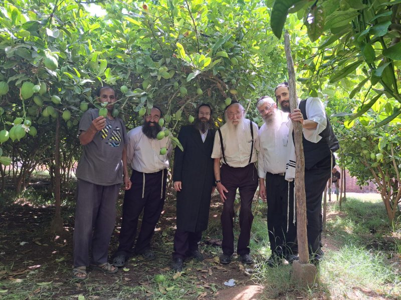 באדיבות המצלם