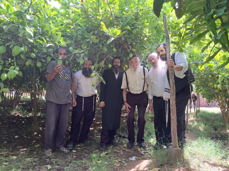 באדיבות המצלם