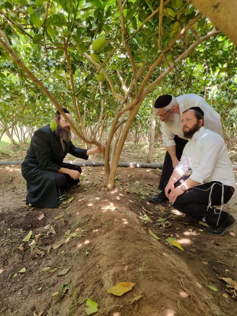 באדיבות המצלם