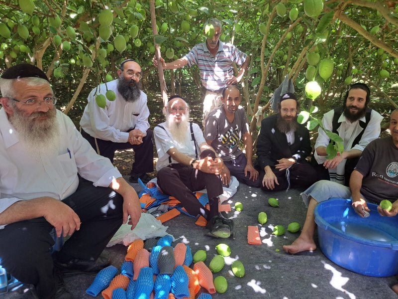 באדיבות המצלם