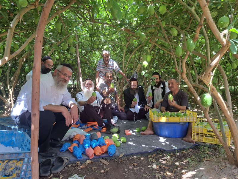 באדיבות המצלם