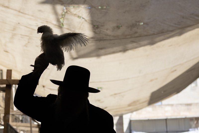 יונתן זינדל, פלאש 90