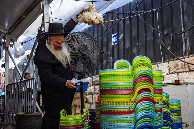 אוליביה פיטוסי, פלאש 90