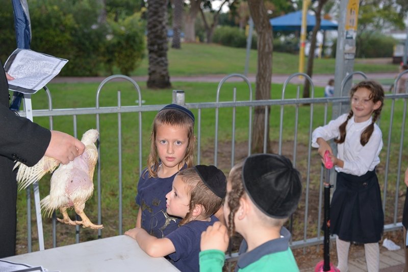 יוסי לוי