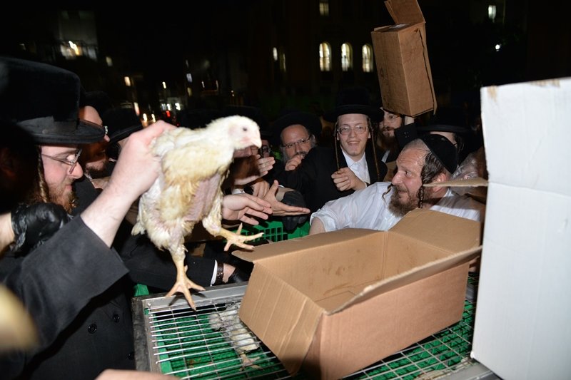 יוסי לוי