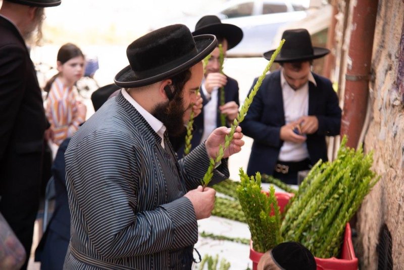 שלום קרויס