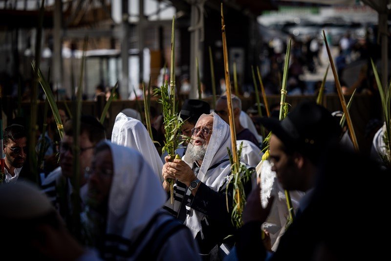 יונתן זינדל, פלאש 90