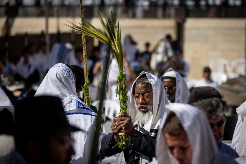 יונתן זינדל, פלאש 90