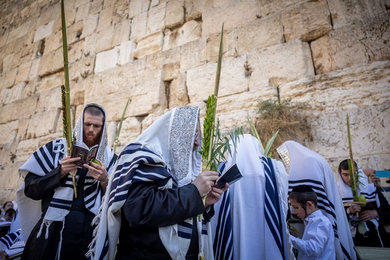 יונתן זינדל, פלאש 90