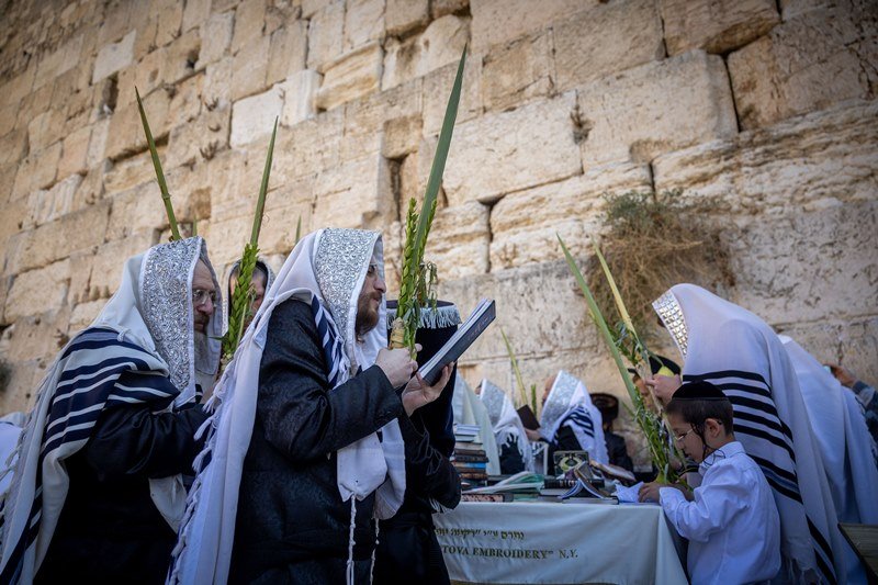 יונתן זינדל, פלאש 90