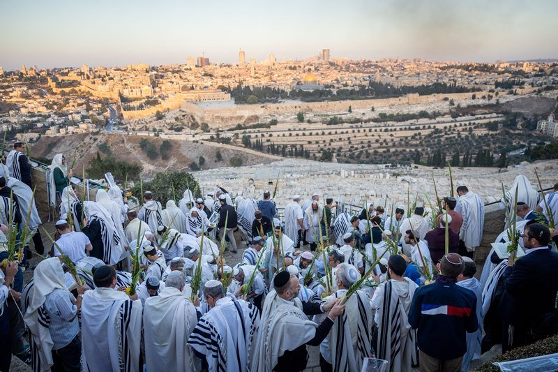 יונתן זינדל, פלאש 90