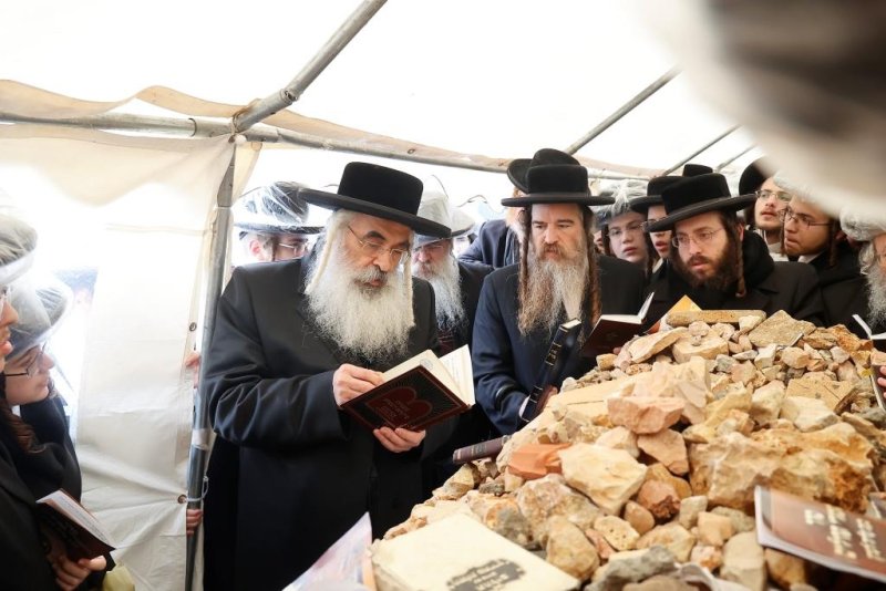 צילום: שלומי טריכטר