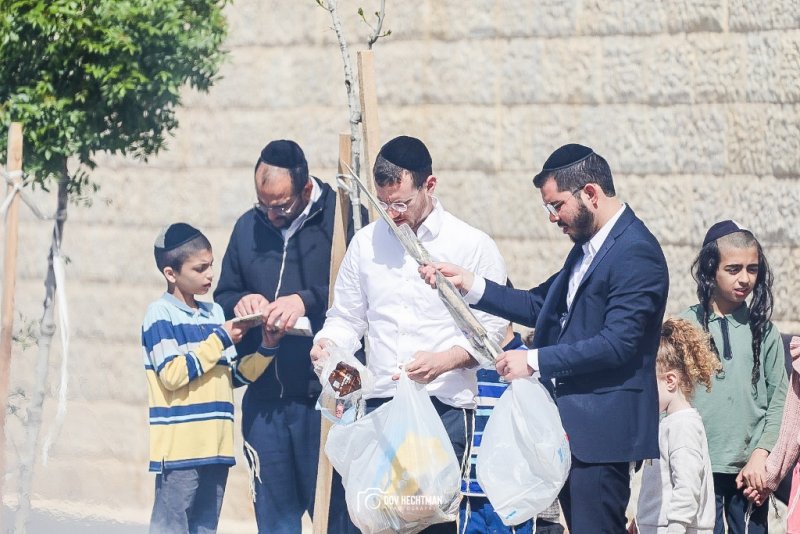 דוב בער הכטמן