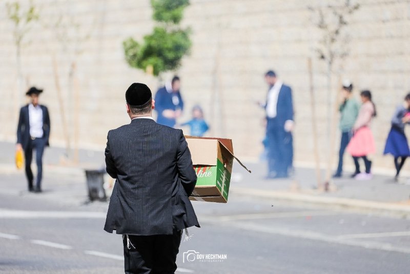 דוב בער הכטמן