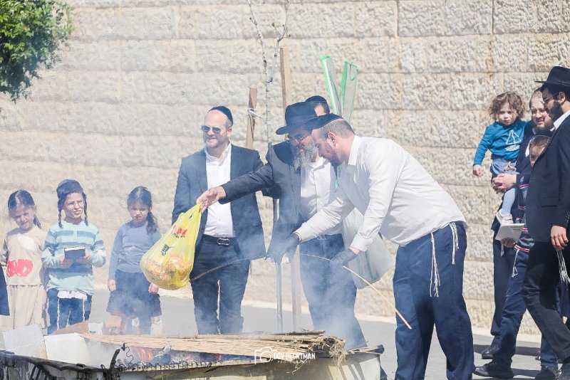 דוב בער הכטמן