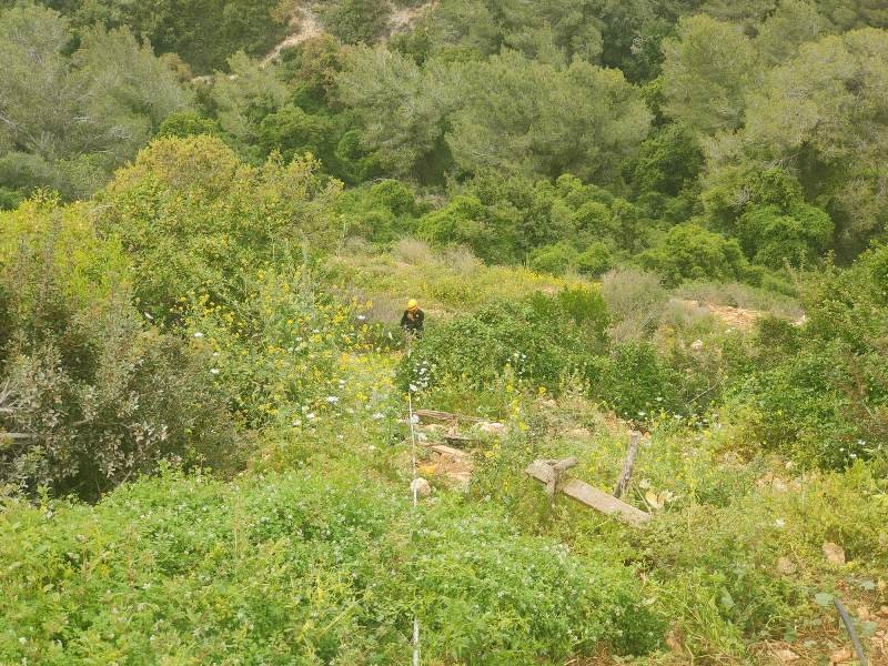 דוברות כב"ה מחוז חוף