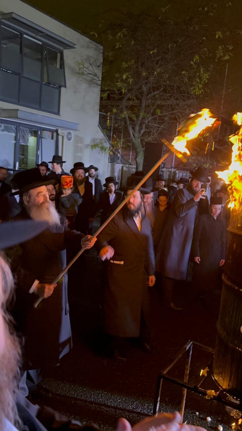 צילום: באדיבות המצלם