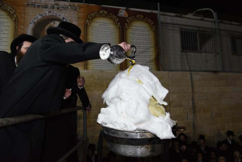 שלומי טריכטר