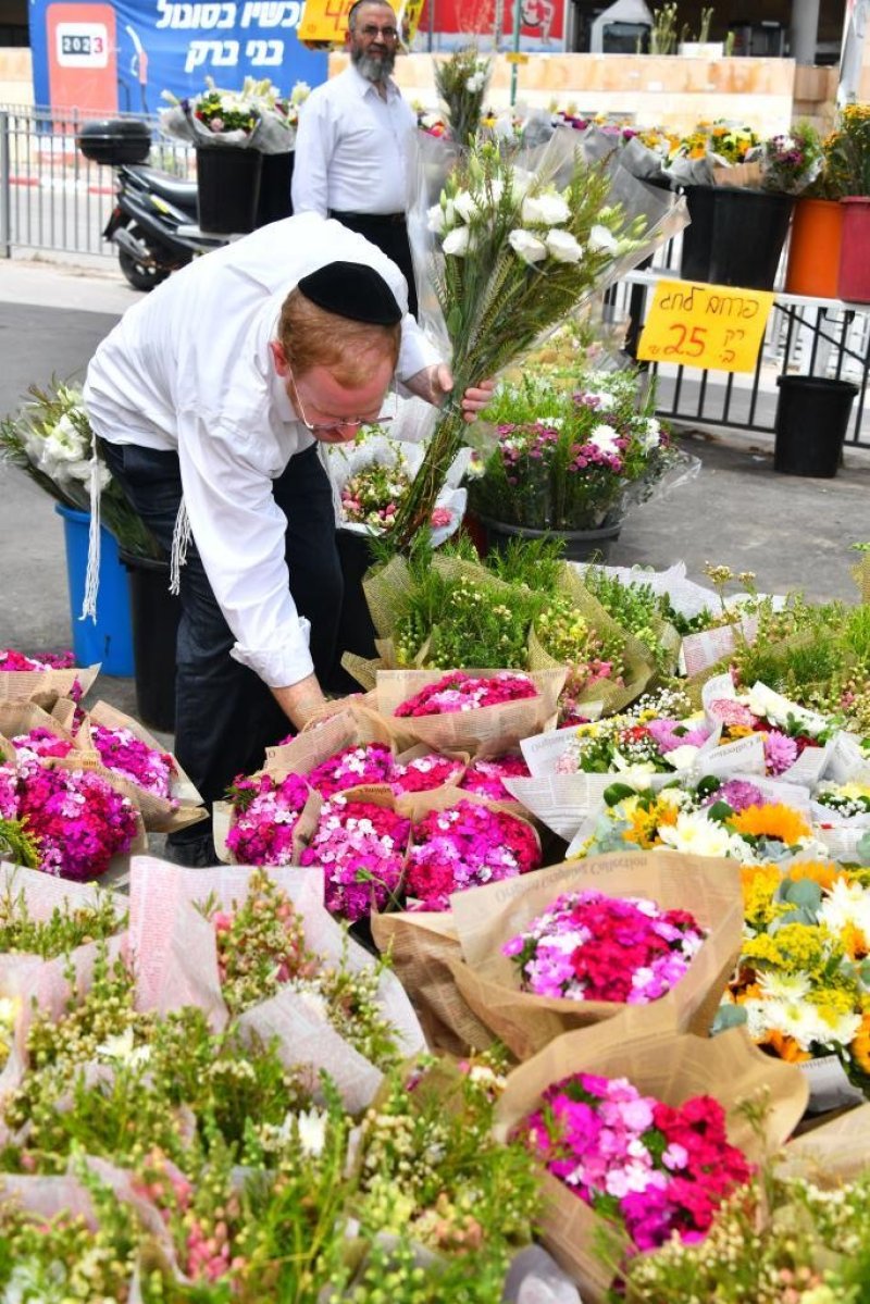 שוקי לרר