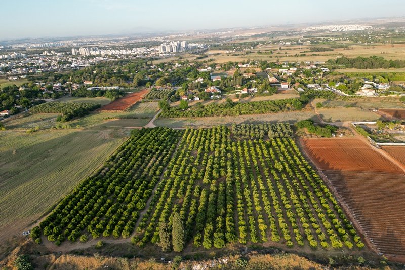 עומר פיכמן, פלאש 90