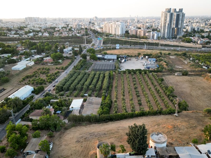 עומר פיכמן, פלאש 90