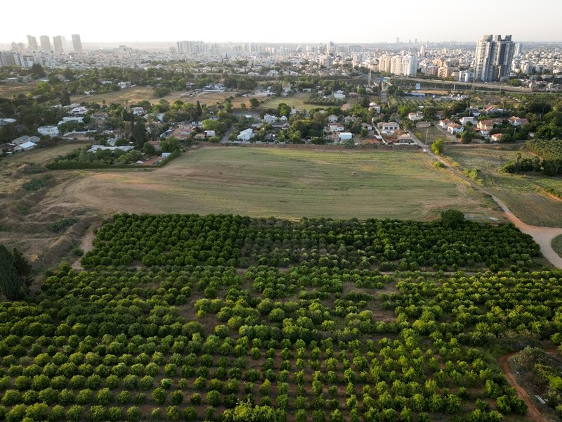 עומר פיכמן, פלאש 90