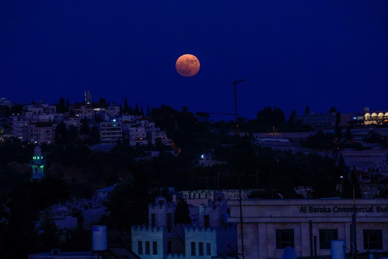 חיים גולדברג, פלאש 90