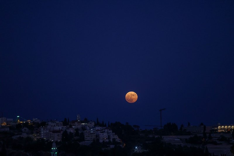 חיים גולדברג, פלאש 90