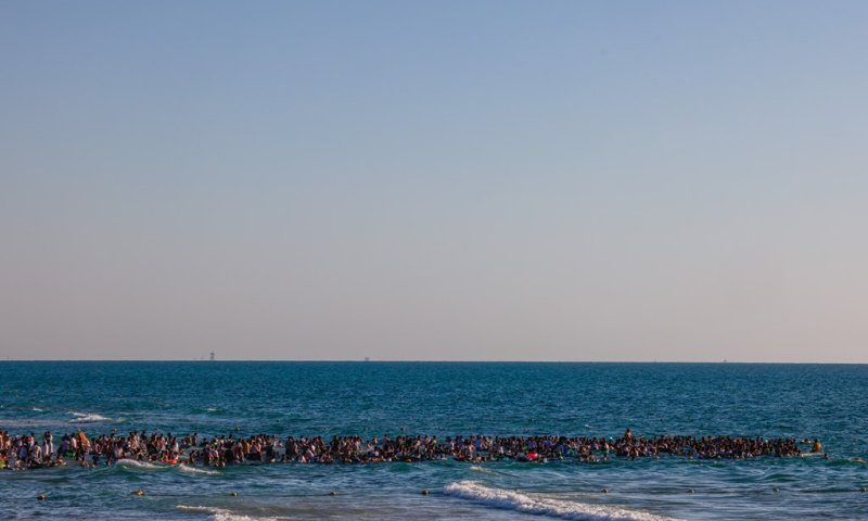 אימה באשדוד: כריש נצפה בחוף, המתרחצים פונו בבהלה