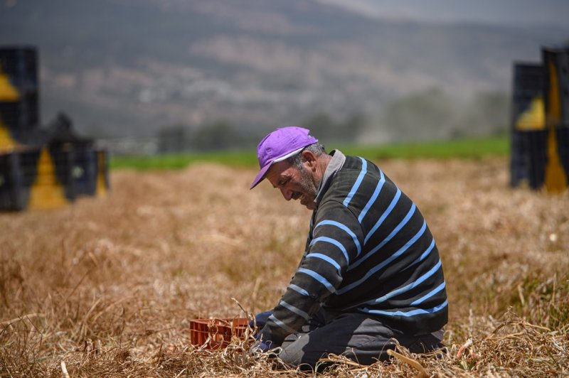 אייל מרגולין, פלאש 90