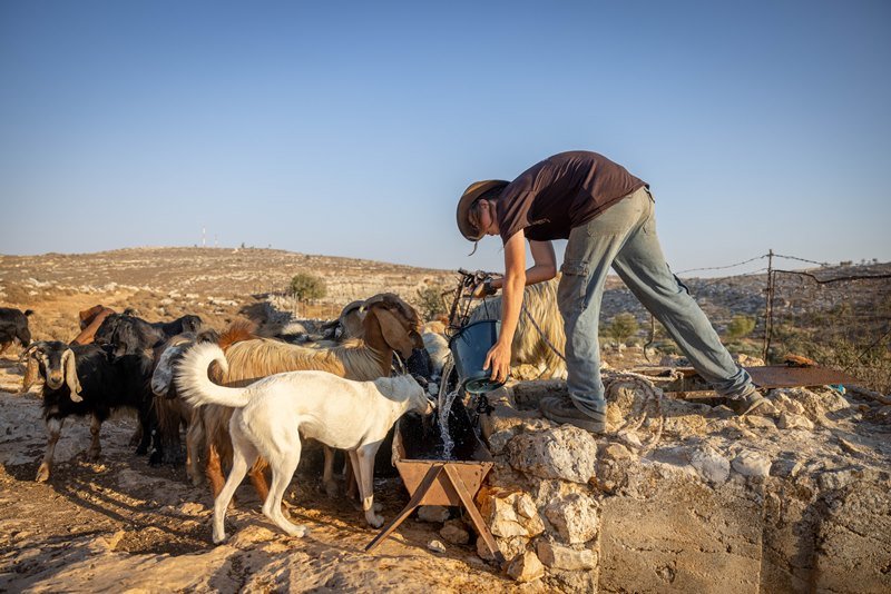 חיים גולדברג, פלאש 90