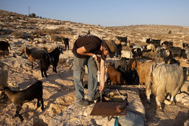 חיים גולדברג, פלאש 90