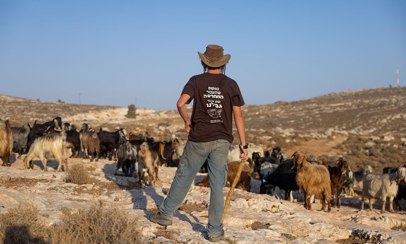 יגורשו מישראל: פעילים זרים תקפו רועה צאן ונעצרו